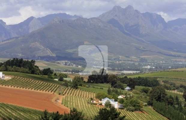 Photo #2 Farm for sale in France, Paris, 73 rue du Faubourg Saint-Honore